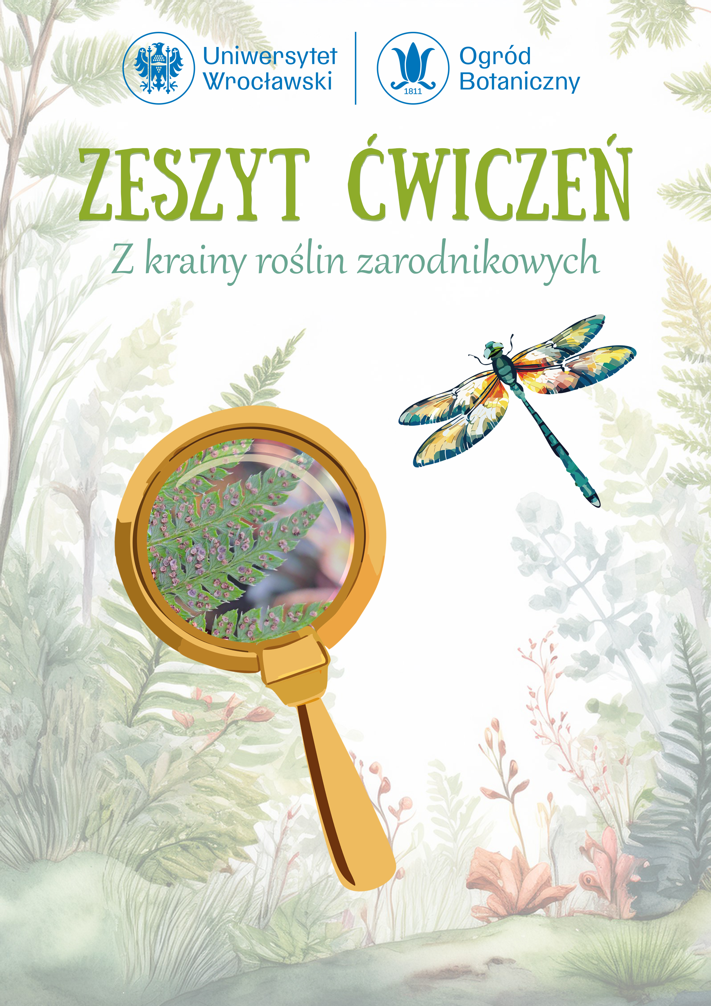 Z krainy roślin zarodnikowych